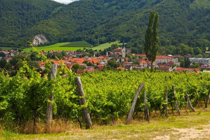 Maribor & Styria Tour with Wine Tasting - FAQ