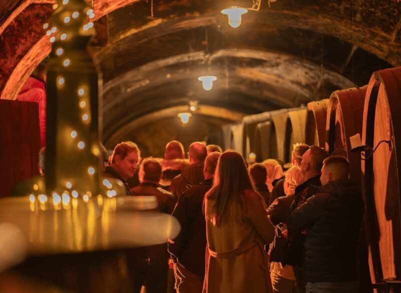 Maribor: Vinag Wine Cellar Tour with Wine tasting and snacks - Discovering the Vinag Wine Cellar in Maribor: A Guide to the Experience