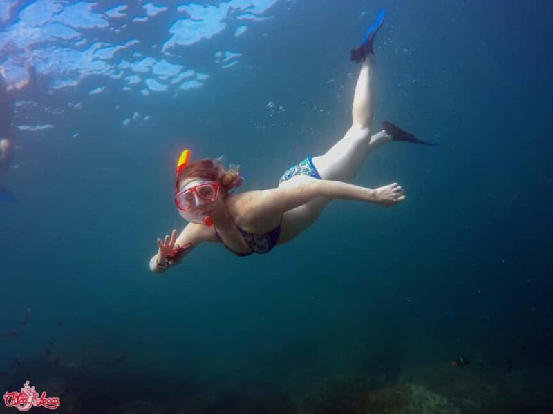 Marietas Islands Boat Tour: Snorkel, Kayak, Playa Nopalera - Final Thoughts: Who Is This Tour Perfect For?
