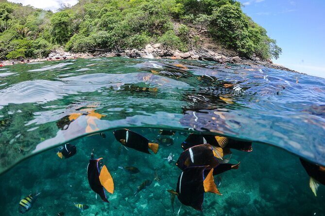 Marietas Islands Sailing Private Tour - 8 Hours of Paradise - Who Will Love This Tour?