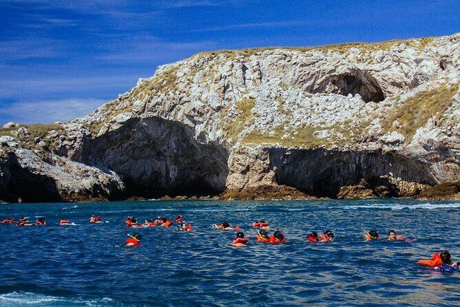 Marietas Islands Snorkeling Adventure with Open Bar and Lunch - The Experience in Detail: What to Expect on Your Day