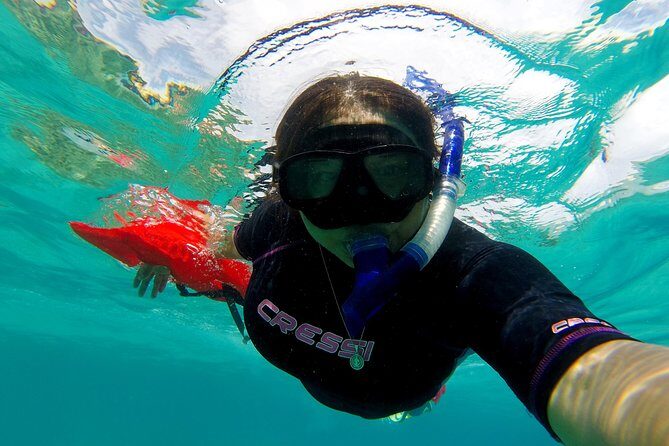 Marietas Islands snorkeling & Hidden beach (w/ restrictions) - Key Points