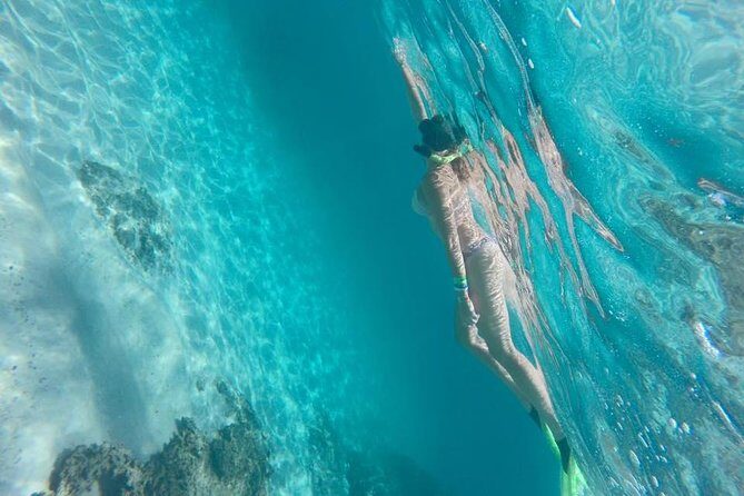 Marietas Islands Snorkeling Tour - Key Points
