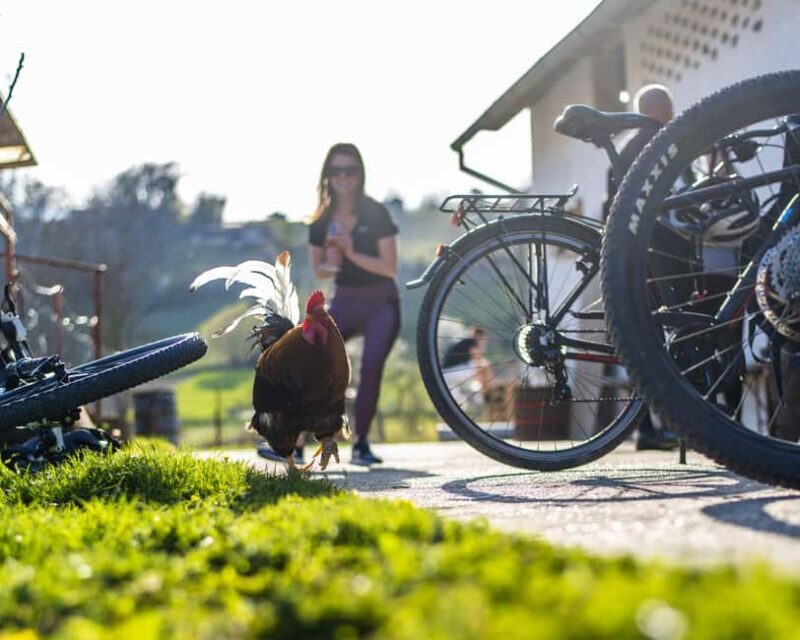 Marija Bistrica: E-bikes to the Wineries of Zlatar City - FAQ