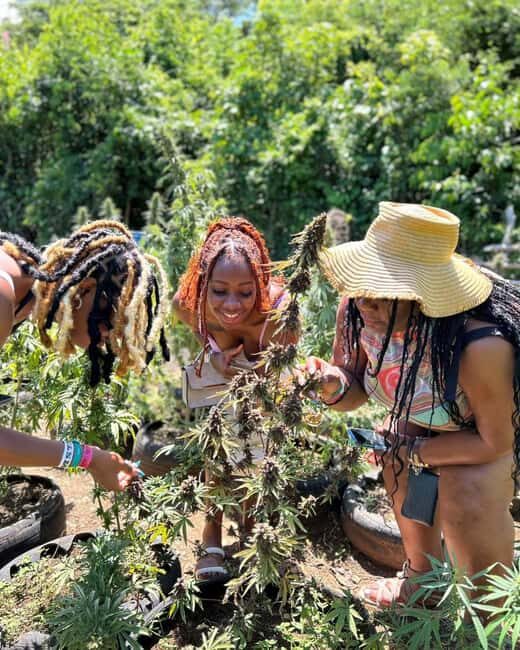 Marijuana Farm & Bamboo Rafting with Limestone Foot Massage - The Sum Up