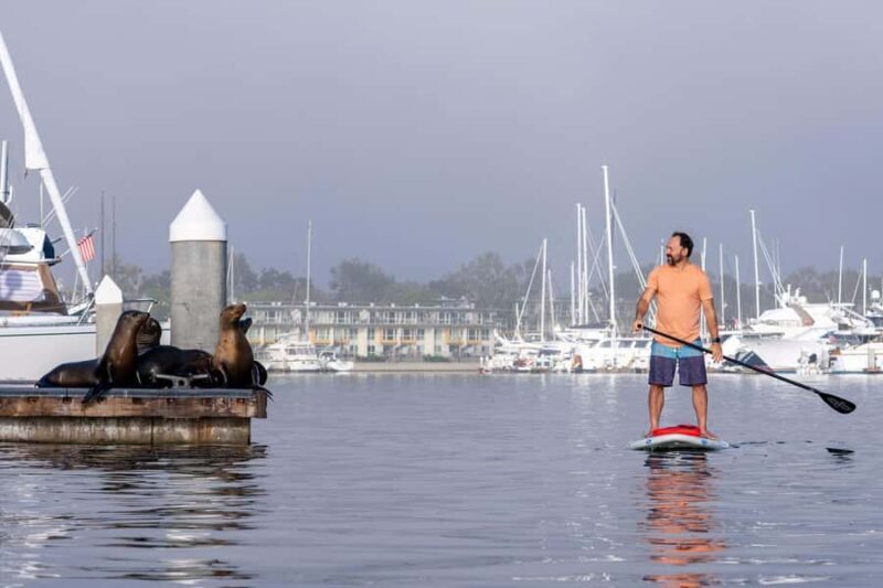Marina del Rey: Guided Kayak & Paddleboard Tour - An In-Depth Look at the Marina del Rey Kayak & Paddleboard Tour