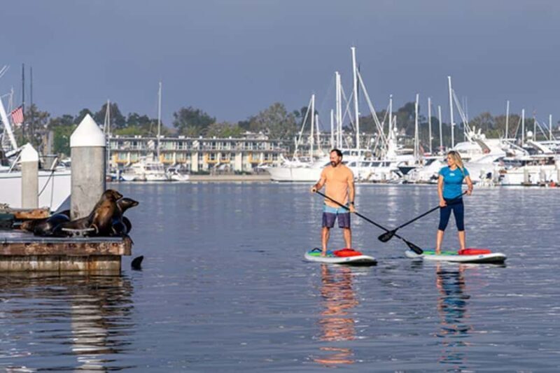 Marina del Rey: Guided Kayak & Paddleboard Tour - FAQ