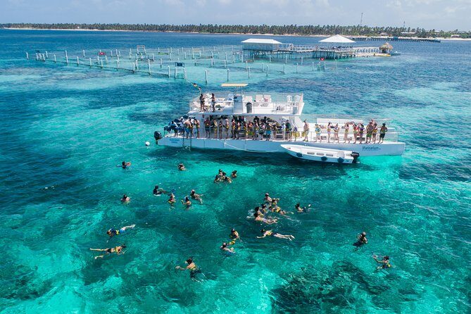 Marinarium Snorkeling Cruise from Punta Cana - Key Points