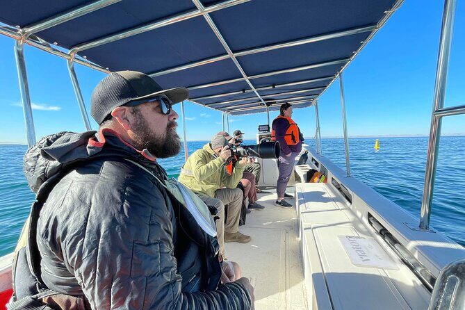 Marine Ecology Tour in La Paz Mexico - Marine Ecology Tour in La Paz Mexico: An Underwater Adventure