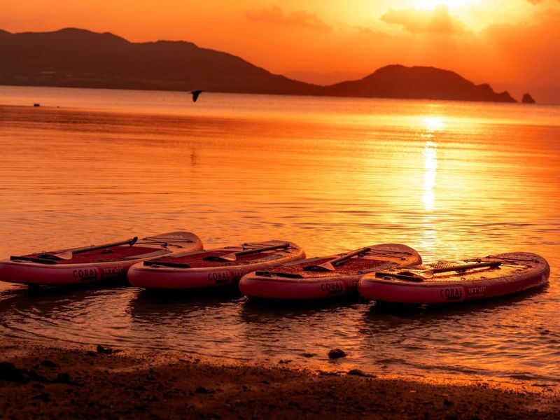 Marine Shop HAPPY: Ishigaki Island Tours - A night safari after dark