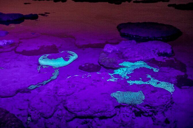 Marine Trail - How the Tour Enhances Your Visit