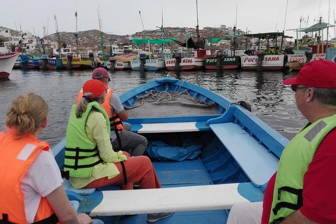 Marine wildlife observation in a fishing village - The Sum Up