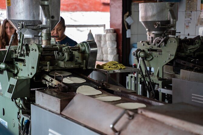 Market Visit and Mexican Cooking Class - A Deep Dive into the Culinary Experience