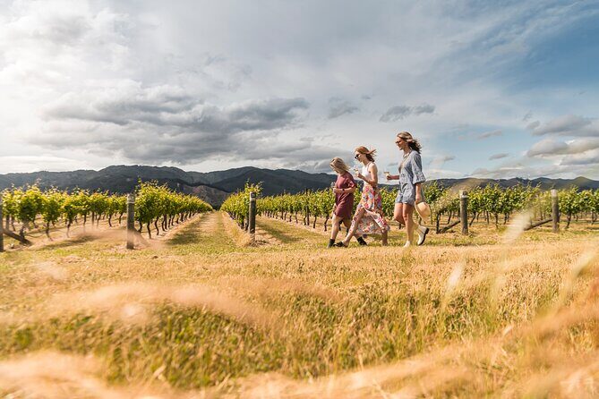Marlborough Afternoon Wine Tour with Tastings - Frequently Asked Questions