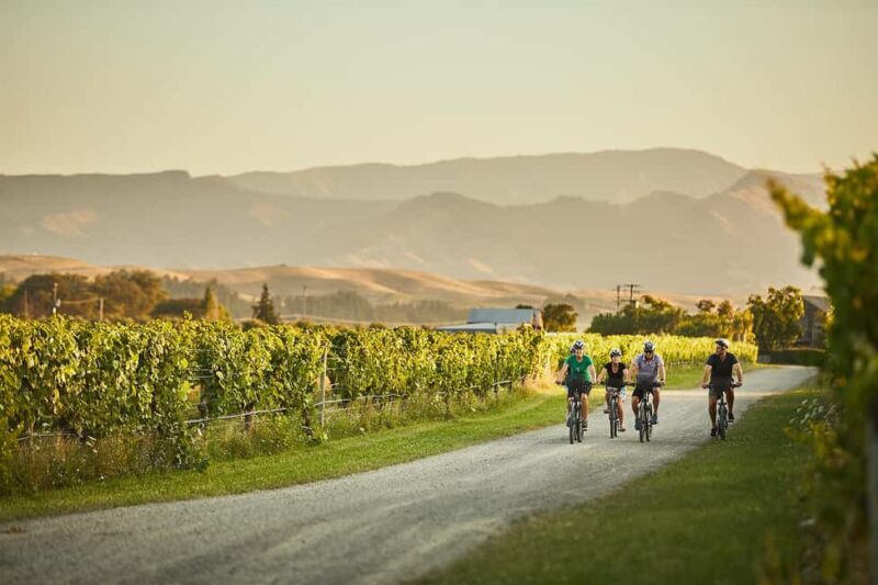 Marlborough: Full-Day Self-Guided Biking Wine Tour - The Experience in Detail