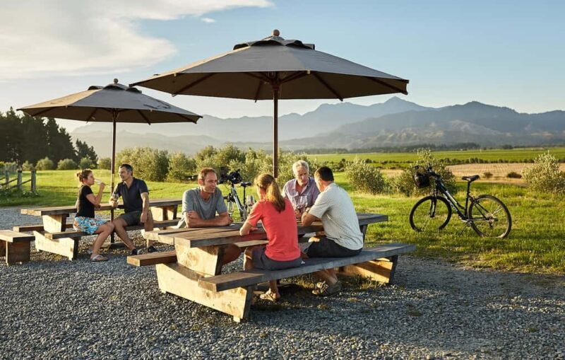 Marlborough: Full-Day Self-Guided Biking Wine Tour - Detailed Itinerary Breakdown