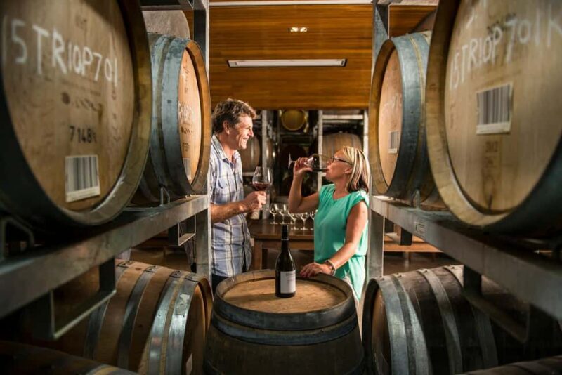 Marlborough: Full-Day Wine and Seafood Tour with Cruise - Why This Tour Offers Great Value