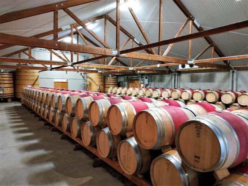 Marlborough: Full-Day Wine Tour - Marlborough: Full-Day Wine Tour