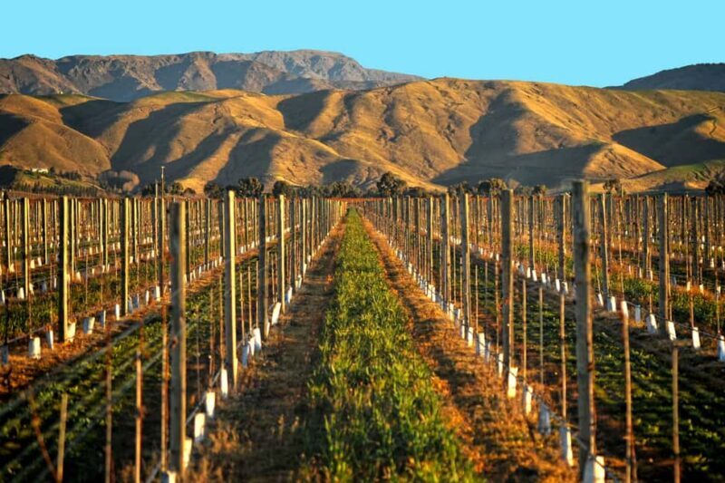 Marlborough Full Day Wine Tour from Picton - Who Will Love This Tour