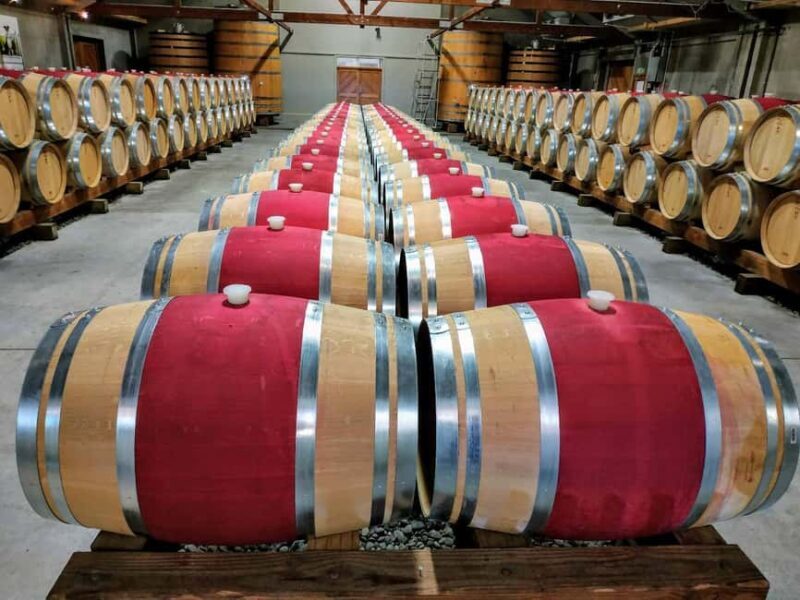 Marlborough: Half Day Blenheim Wine Tour - Eating & Sipping - Why This Tour Offers Great Value
