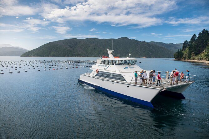 Marlborough Icons Tour - Wine tasting + Cruise - FAQ