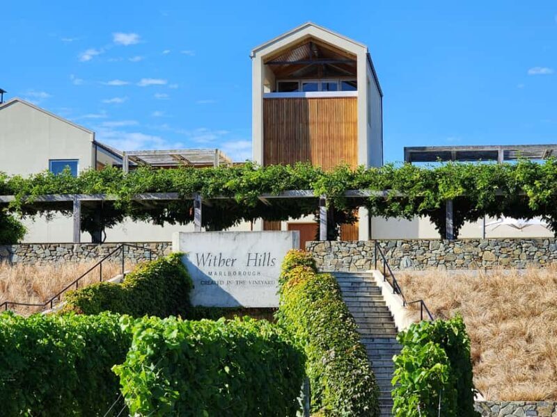 Marlborough Private Classic Wine Tour - The Cost and Value