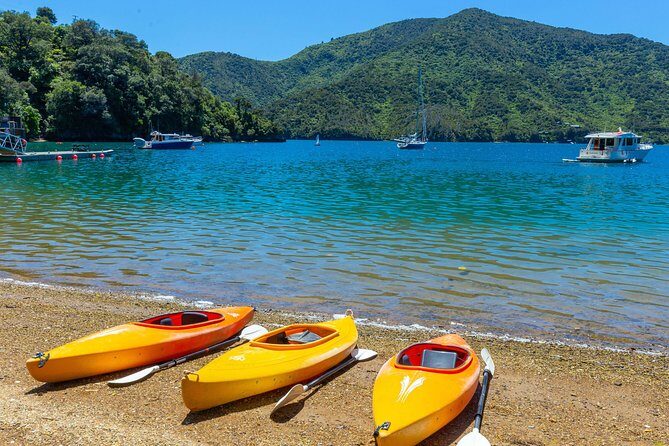 Marlborough Sounds Day Visit to Lochmara - Authentic Experiences and Real Reviews