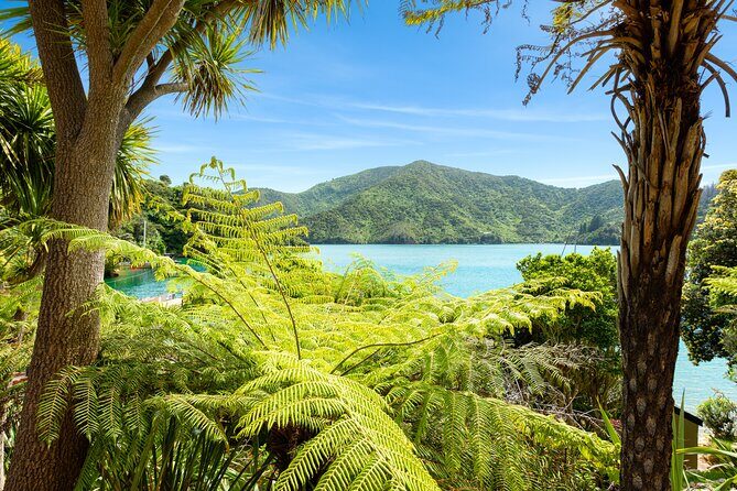 Marlborough Sounds Day Visit to Lochmara - The Sum Up: Is This Tour Worth It?