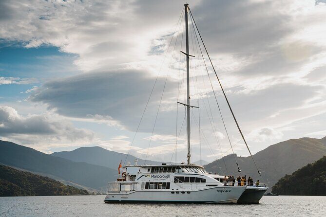 Marlborough Sounds Greenshell Mussel Tasting Cruise - Frequently Asked Questions
