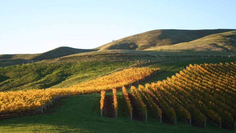 Marlborough: Wineries Visit with Tastings and 2-Course Lunch - The Lunch Break: A Highlight of the Day