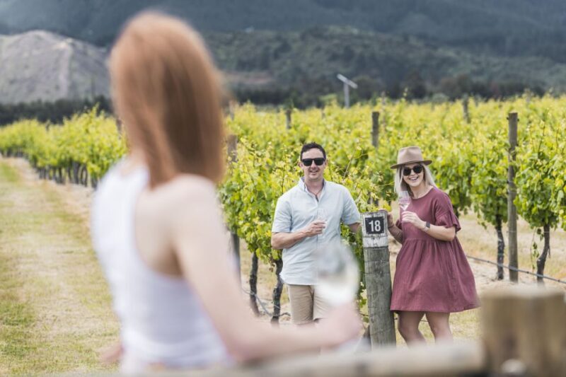 Marlborough: Wineries Visit with Tastings and 2-Course Lunch - Transportation and Group Size
