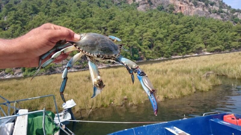 Marmaris: Dalyan Turtle Beach Tour with Mud Bath & Lunch - Frequently Asked Questions