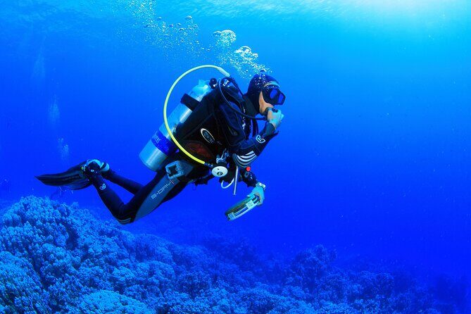 Marmaris Full Day Scuba Diving Two Dives With Lunch Hotel pickup - Final Words: Why Choose This Tour?