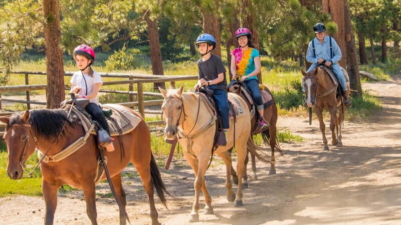 Marmaris: Horse Riding & Safari with Hotel Transfer - Key Points