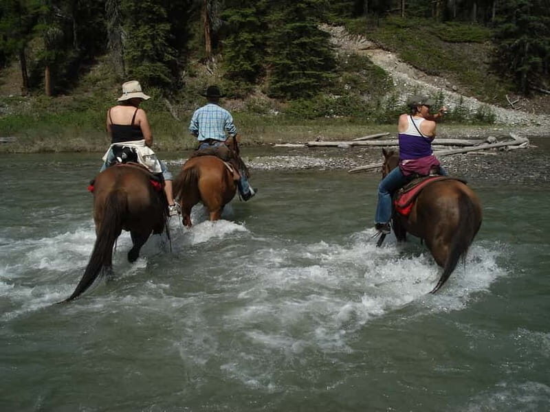 Marmaris: Horse Riding & Safari with Hotel Transfer - An Honest Look at the Horse Safari Experience