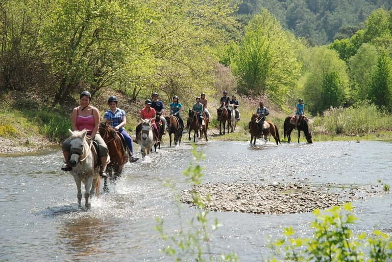 Marmaris: Horse Riding & Safari with Hotel Transfer - Family and Group Experience