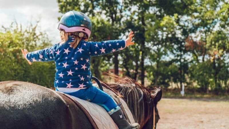 Marmaris Horse Safari - Key Points
