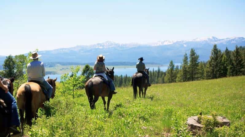 Marmaris Horse Safari - Who Will Enjoy This Tour?