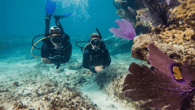 Marmaris: Scuba Diving Experience - Why This Tour Represents Good Value