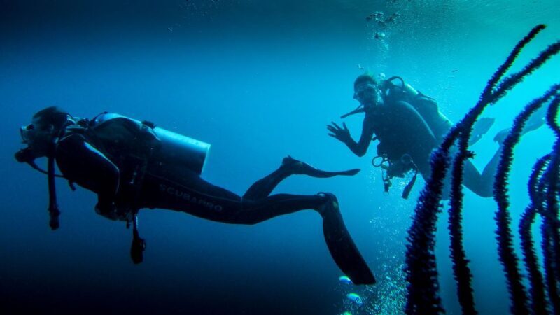 Marmaris: Scuba Diving Experience with 2 Dives and Lunch - A Clear Overview of the Experience