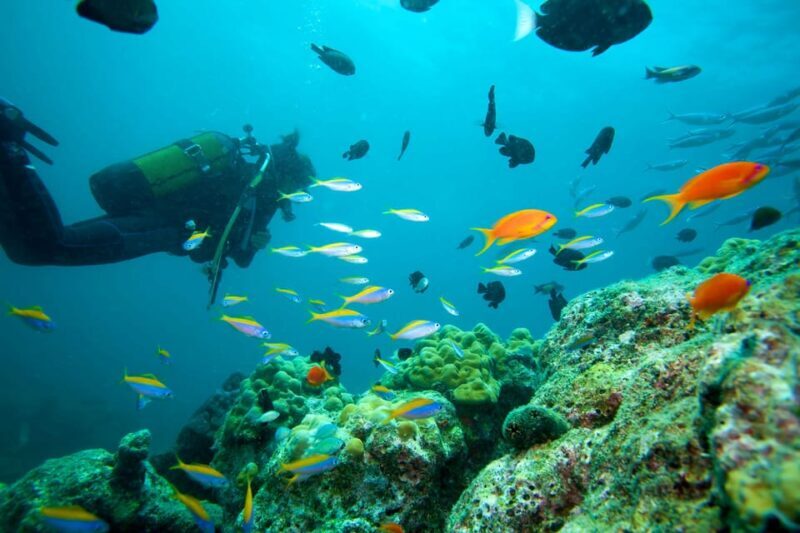 Marmaris: Scuba Diving with a Qualified Instructor - Why Choose This Marmaris Scuba Tour?
