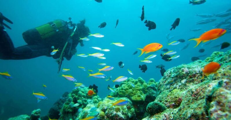 Marmaris: Scuba Diving with a Qualified Instructor - What to Expect from the Tour