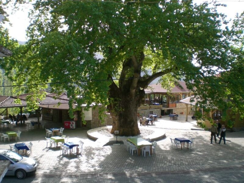 Marmaris Village Tour, Turgut Waterfalls and Mermaid Sand - Who Should Consider This Tour?