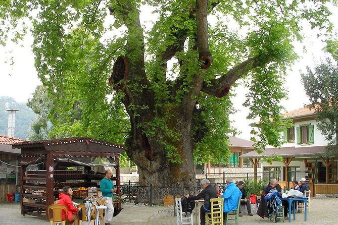 Marmaris Village Tour with Waterfalls & Visit Jesus Beach - FAQs