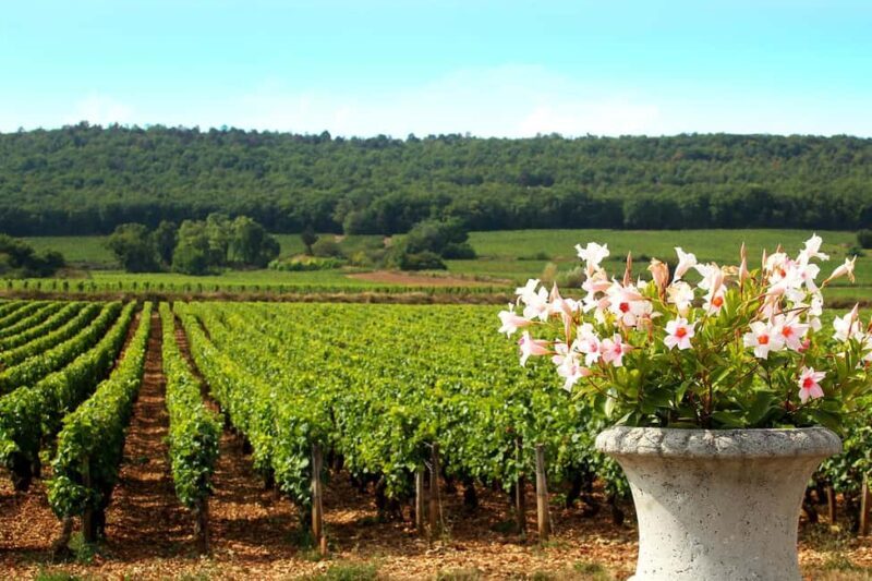 Marne: 2-Day Champagne Tour with Tastings and Lunches - Exploring the Marne: A Deep Dive into the Champagne Region