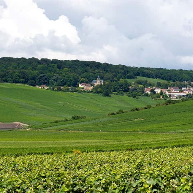 Marne: 2-Day Champagne Tour with Tastings and Lunches - Day Two: Reims, More Wineries, and Production Secrets