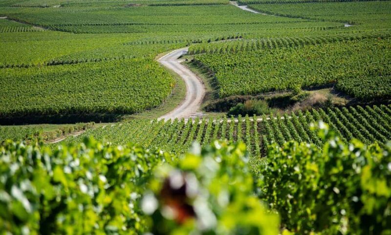 Marne: 2-Day Champagne Tour with Tastings and Lunches - Who Should Consider This Tour?