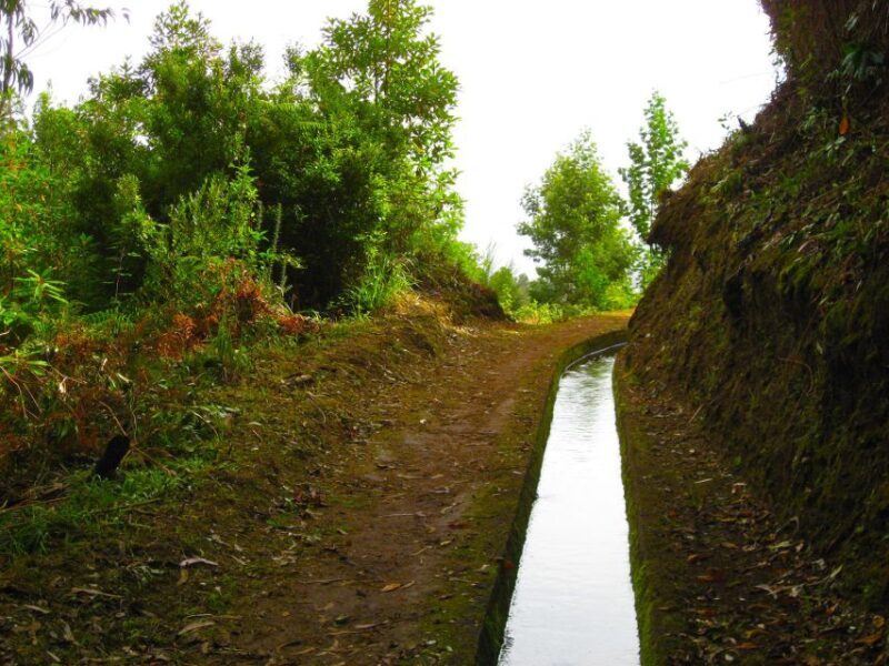Maroços / Mimosa Valley - Levada Walk - What to Expect from the Levada Walk