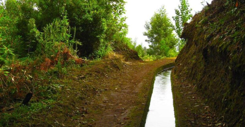 Maroços / Mimosa Valley - Levada Walk - The Experience in Context
