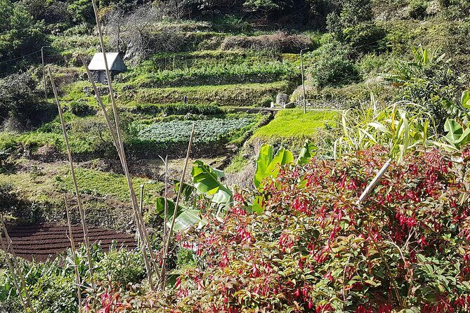 Maroços - Mimosa Valley Walk - Who Will Love This Tour?